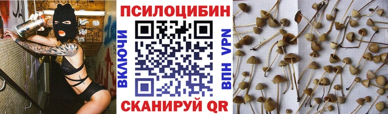 Псилоцибиновые грибы Cubensis  omg ONION  площадка официальный сайт  Ульяновск 